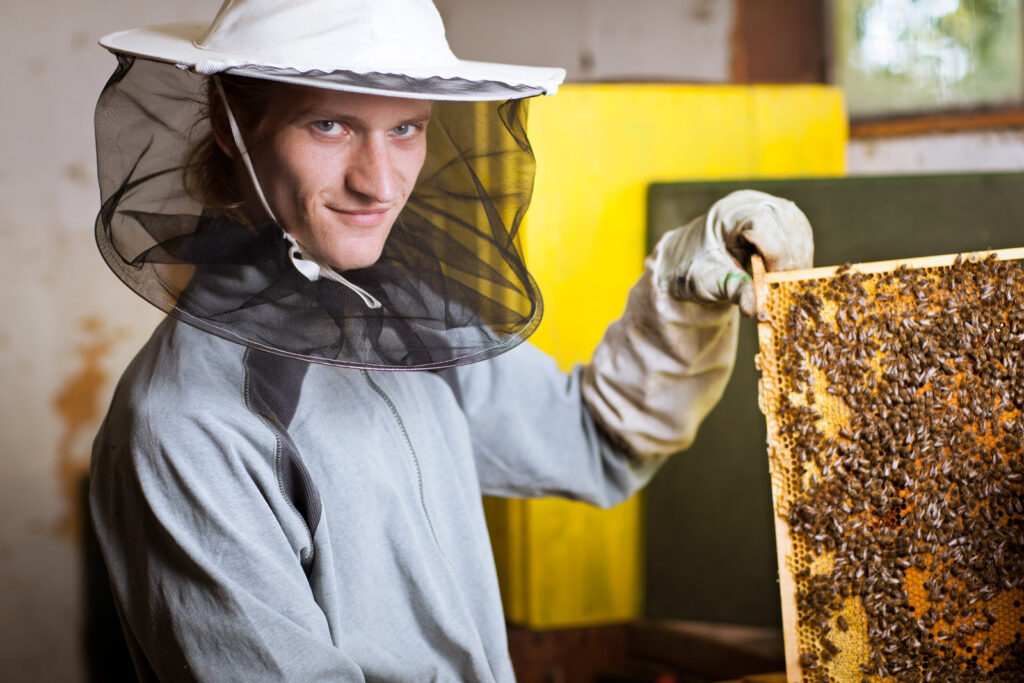 beekeeper-working-in-an-apiary-holding-a-frame-of-honeycomb