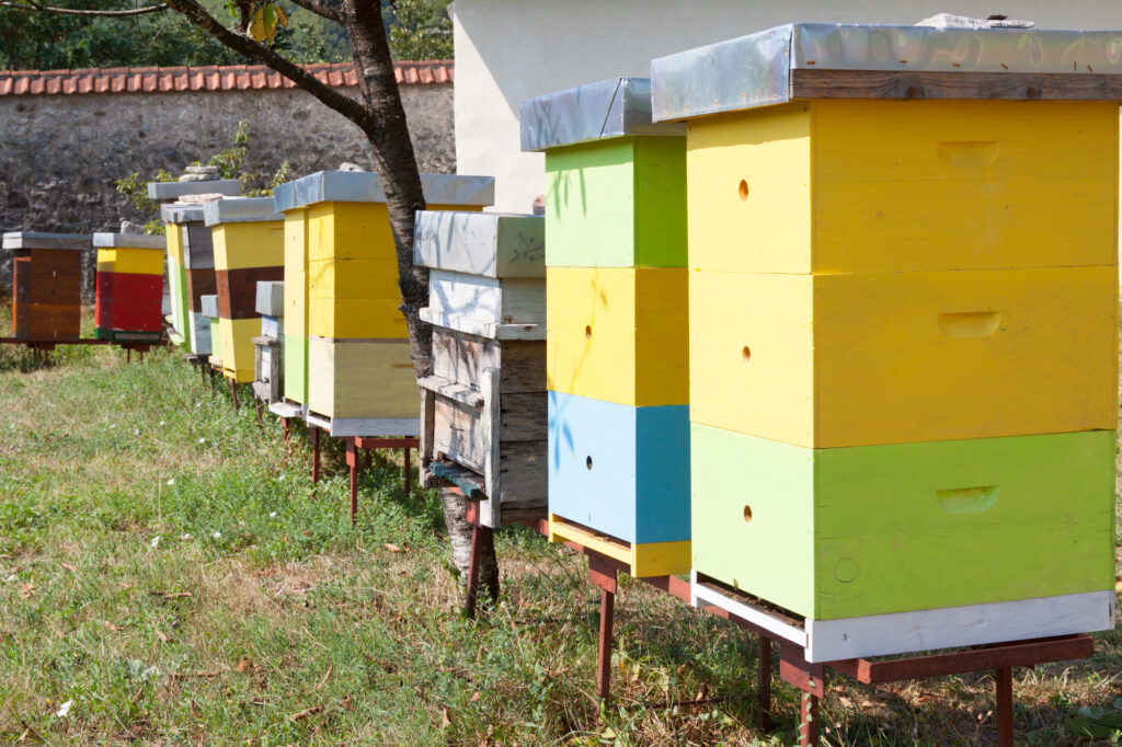 Multi-colored bee hive