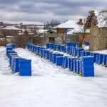 many-beehives-covered-with-snow