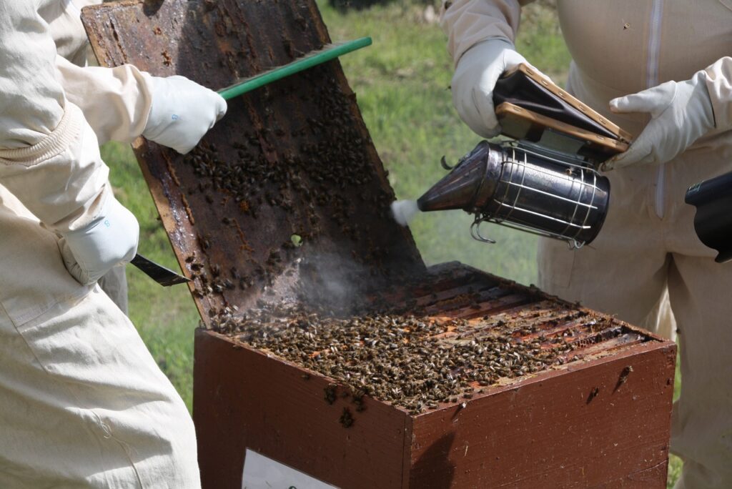 bee-hive-smoker